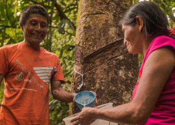 La Amazonía que queremos sí existe