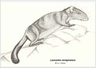 Hallada en Laos una nueva especie de roedor