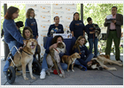 Animales a la espera de una sentencia