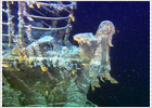 La búsqueda del Titanic sirvió para localizar submarinos nucleares La búsqueda del Titanic sirvió para localizar submarinos nucleares