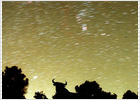 Fiesta de las estrellas el 12 de agosto