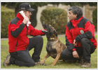 Unos agentes muy especiales