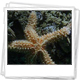 FOTOGALERIA: 