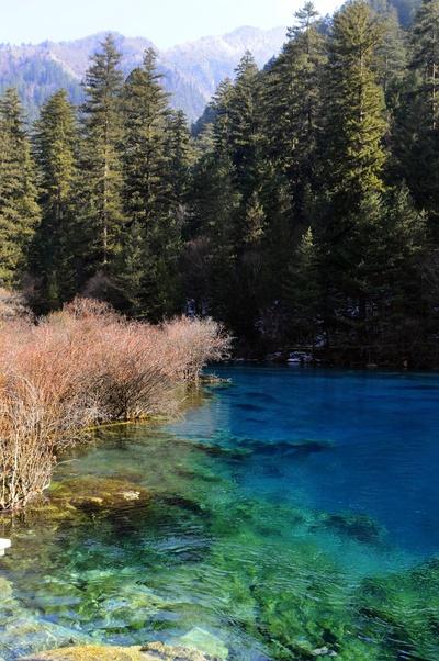 FOTOGALERIA: Verdes y azules