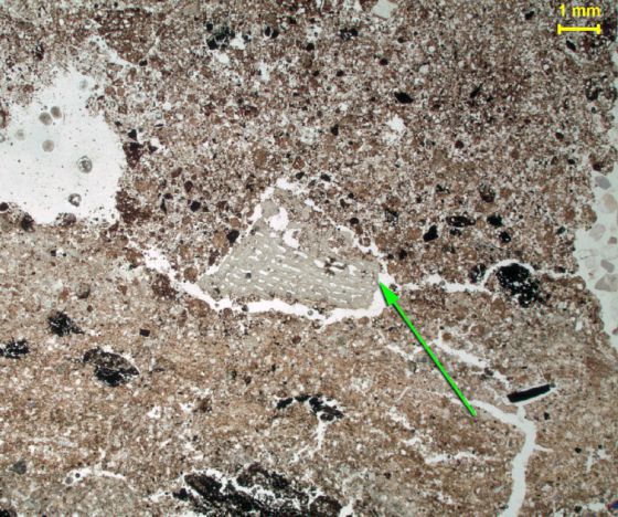 Micrografía de un fragmento de hueso calcinado en la cueva de Wonderwerk (Sudáfica).rn