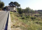 La biodiversidad de las cunetas