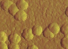 Reino Unido detecta un nuevo virus relacionado con el SARS