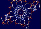 La cuádruple hélice del ADN La cuádruple hélice del ADN