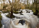 La mitad de las aguas españolas
se encuentra en mal estado La mitad de las aguas españolas
se encuentra en mal estado