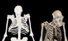 Un extraño homínido que aspira a cambiar la historia evolutiva