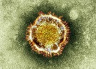 Un brote del nuevo coronavirus afecta a 13 personas en Arabia