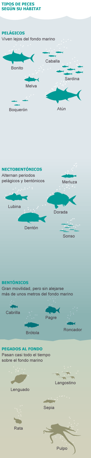 Nuestro pescado se está quedando en la raspa