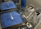 Llega el Viagra económico