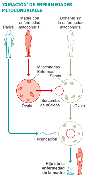 Fuente: elaboración propia.