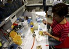 Los científicos logran apoyos para pelear los presupuestos de I+D