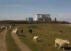 La energía nuclear asoma la cabeza