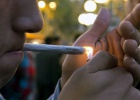 Legalizar maconha medicinal não aumenta consumo de adolescentes
