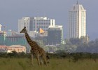 La fiebre del ladrillo estalla en África