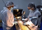 El suelo del gasto farmacéutico