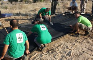 Un grupo de voluntarios en trabajos de conservación de charcas.