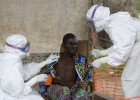 Guinea prohíbe el consumo de murciélagos tras el Ébola Guinea prohíbe el consumo de murciélagos tras el Ébola