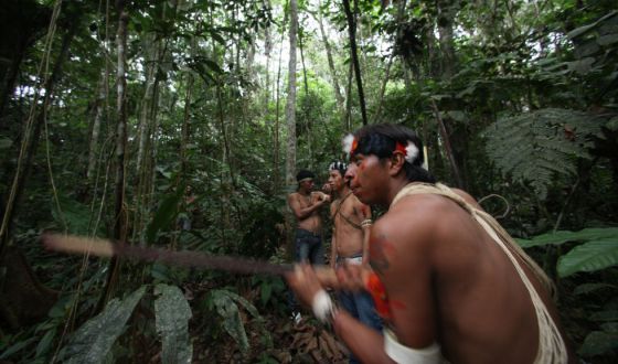 Los ambientalistas ecuatorianos pierden la primera batalla para salvar el Yasuní