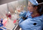 Un ensayo del suero Zmapp da una eficacia del 100% en monos