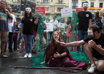 Las lenguas clásicas sacan a los profesores a la calle