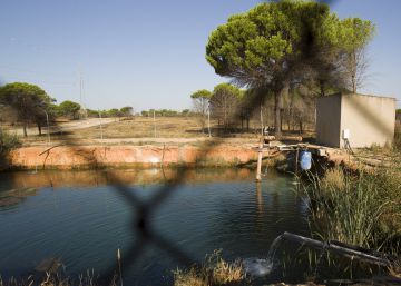 El Gobierno tiene que recurrir a la Guardia Civil para cerrar pozos ilegales de Doñana