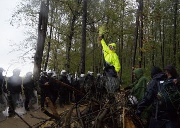 Alemania detiene la tala del bosque de Hambach, que iba a ser arrasado por la ampliación de una mina