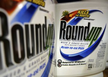 La juez que condenó a Monsanto a pagar 289 millones se muestra dispuesta a repetir el juicio