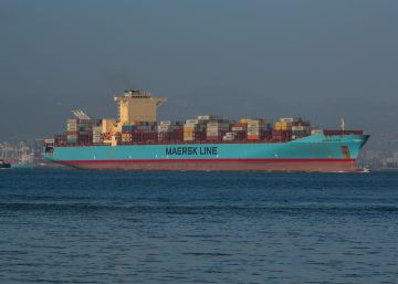 Navegar más despacio para frenar el cambio climático (y salvar ballenas)