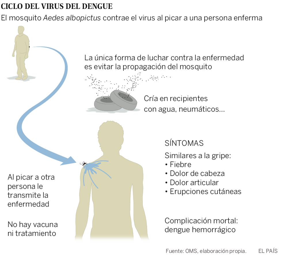 Confirmado el tercer caso de dengue contraído en España