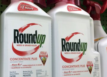 La juez reduce la sanción contra Monsanto a 78 millones de dólares