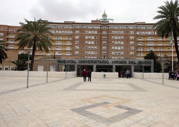 Dos muertos tras recibir sendos riñones infectados con el virus del herpes