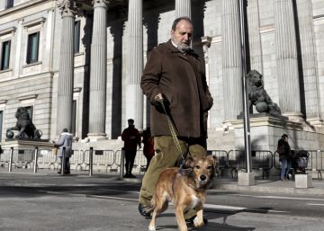 El Congreso tramita que los animales dejen de ser objetos