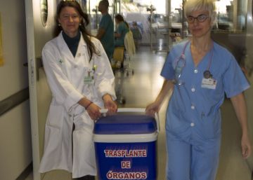Las personas con hepatitis C podrán ser donantes de órganos