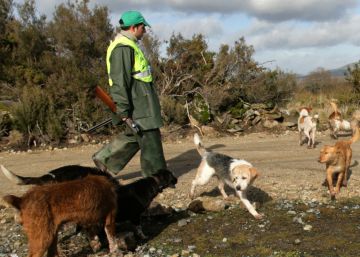 La ecología y el animalismo ponen la caza en el punto de mira