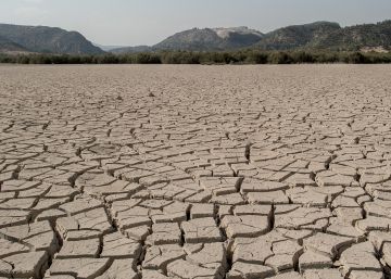 Europa no está preparada para luchar contra la desertificación que la acecha
