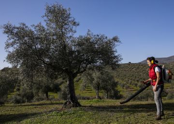 La fiebre del litio no prende en Extremadura