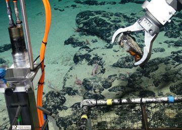 Europa rastrea sus mares en busca de metales estratégicos