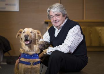 Perros adiestrados contra el alcoholismo