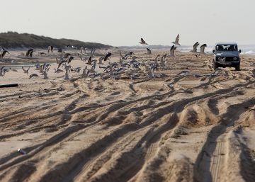 La llegada del PP a la Junta revive la autovía fantasma de la comarca de Doñana