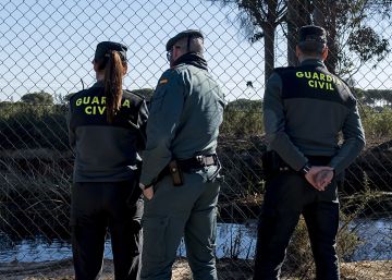 El robo de agua empuja al Gobierno a declarar sobrexplotado el acuífero de Doñana