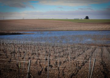 El humedal enfermo
de La Mancha