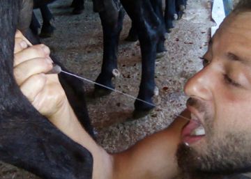 EE UU busca a enfermos por tomar leche cruda en 19 Estados