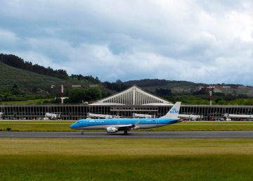 Los buitres amenazan los vuelos en Bilbao