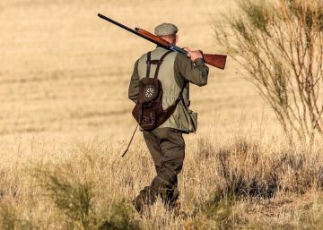 La justicia suspende de forma cautelar la caza en Castilla y León