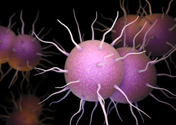 El Regne Unit investiga un brot de gonorrea multiresistent