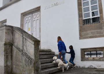 ‘Chispa’ y ‘Trueno’ murieron solos en la ciudad